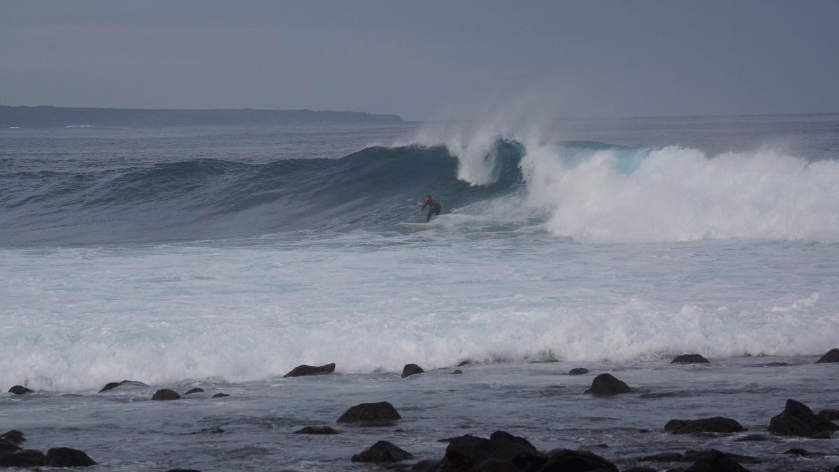 DSC00865.JPG DSC00865.JPG