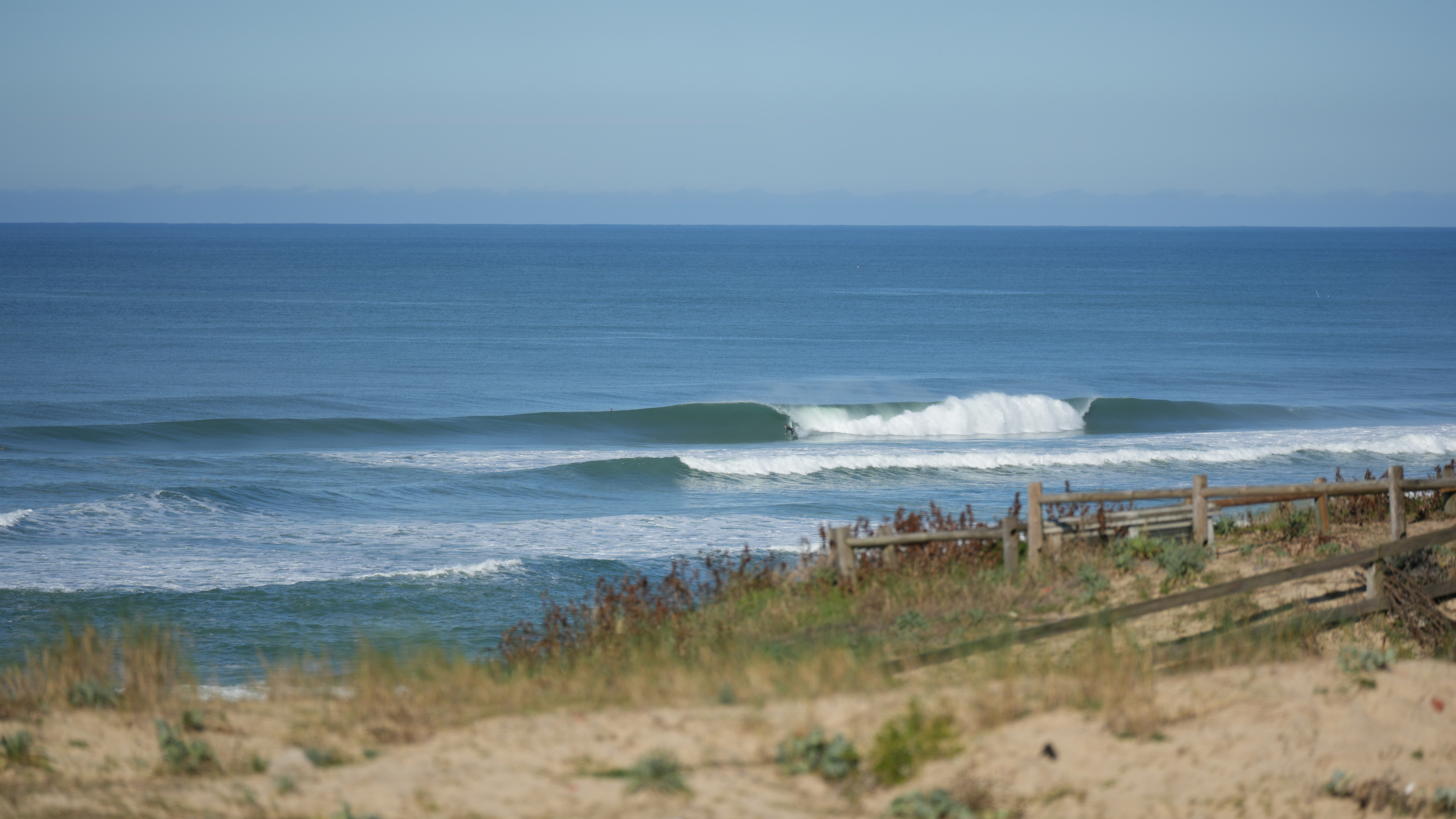 CYR08233.JPG CYR08233.JPG