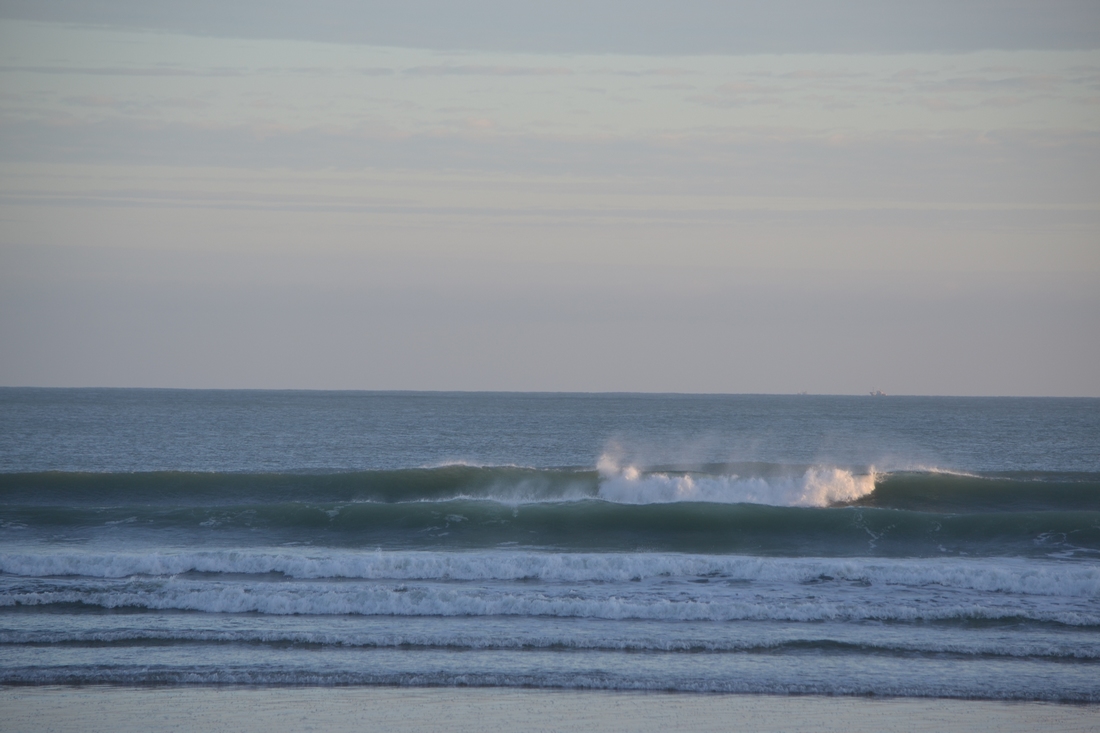 DSC_8926.JPG