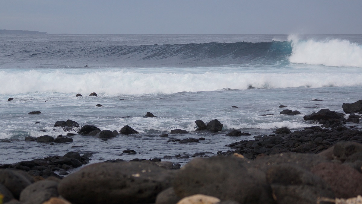 DSC00849.JPG DSC00849.JPG