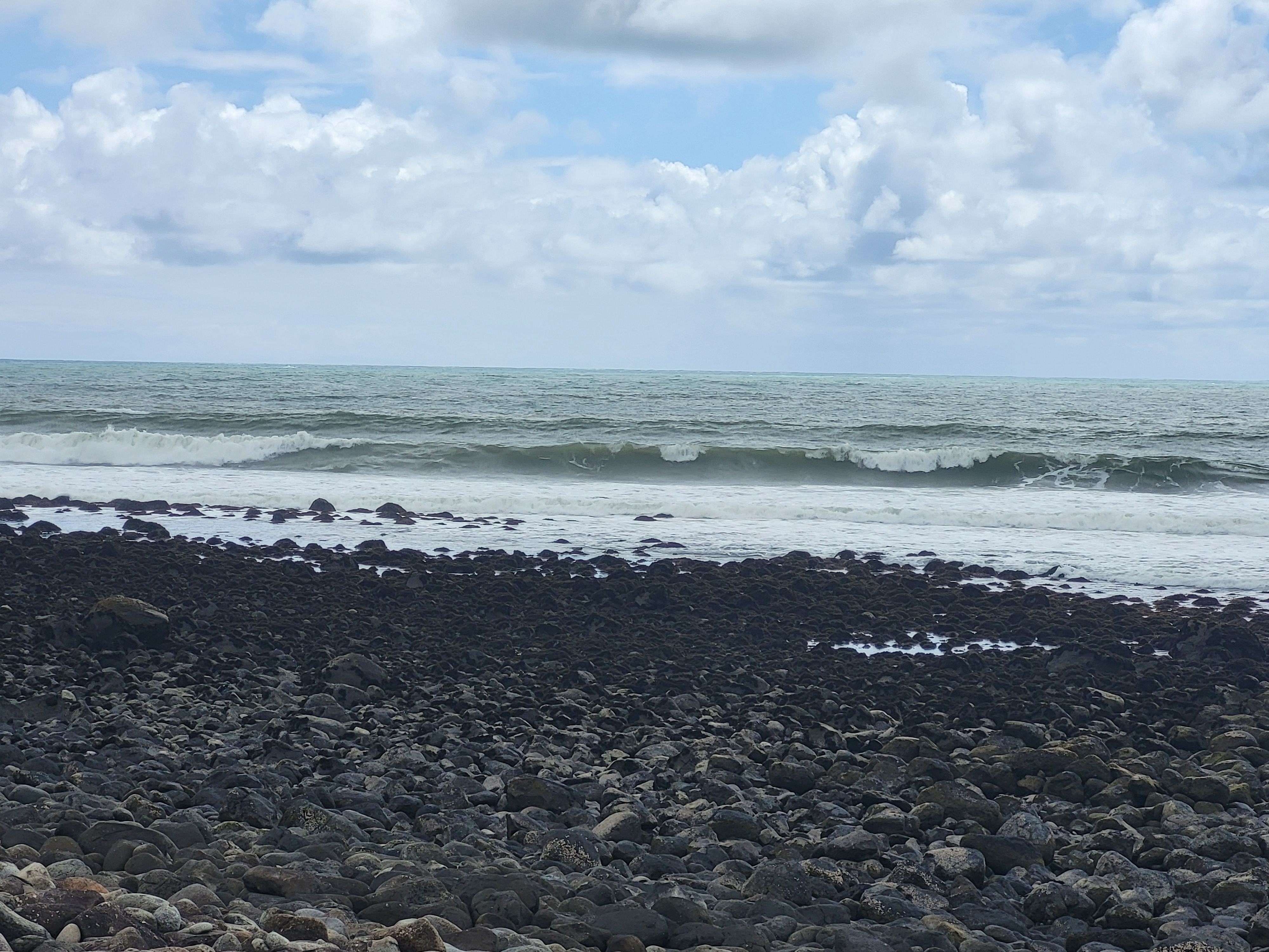 20241031_141420.jpg 20241031_141420.jpg