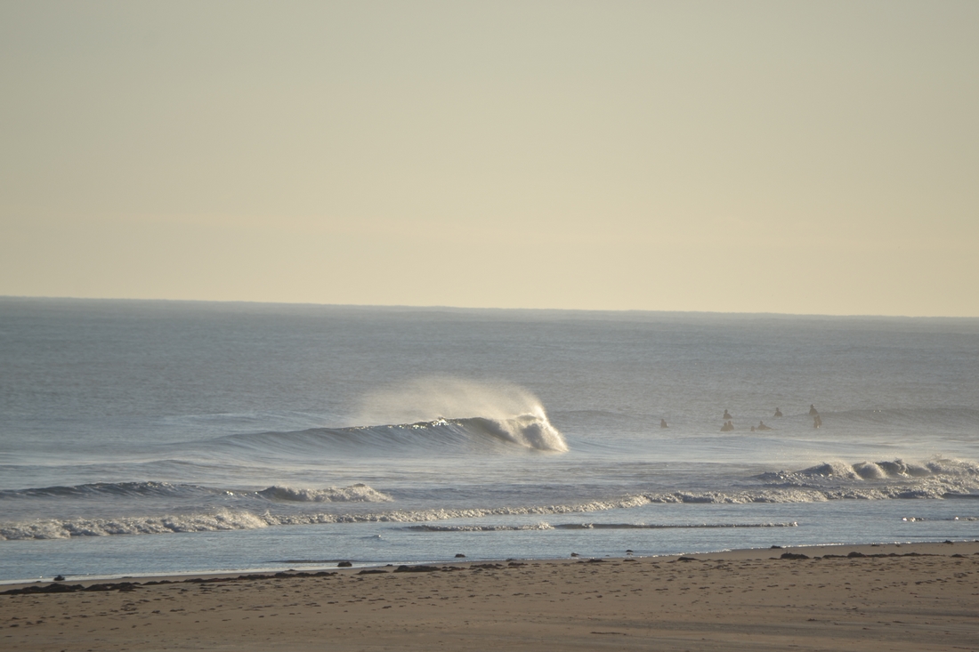 DSC_8932.JPG