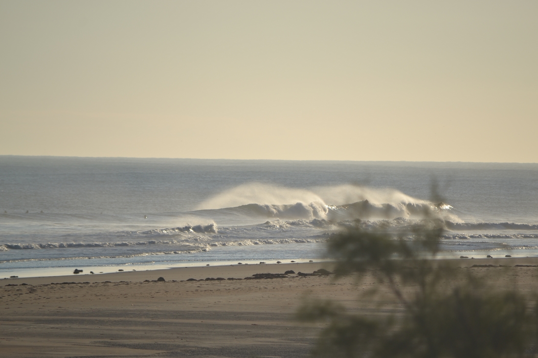 DSC_8934.JPG